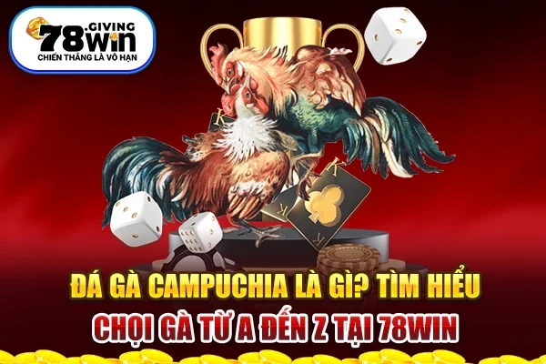 Đá Gà Campuchia Là Gì? Tìm Hiểu Chọi Gà Từ A Đến Z Tại 78win