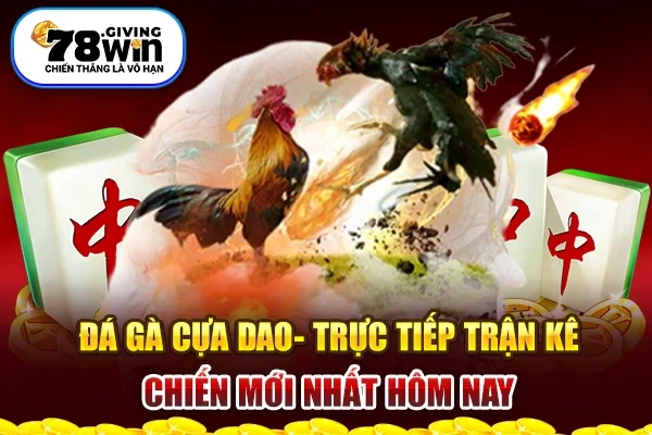 Đá Gà Cựa Dao - Trực Tiếp Trận Kê Chiến Mới Nhất Hôm Nay