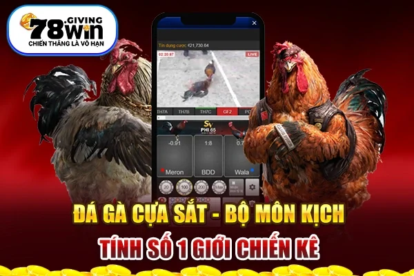 Đá Gà Cựa Sắt - Bộ Môn Kịch Tính Số 1 Giới Chiến Kê