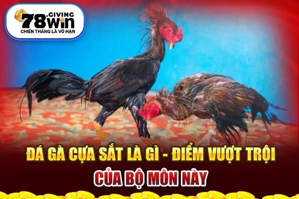 Đá gà cựa sắt là gì - Điểm vượt trội của bộ môn này