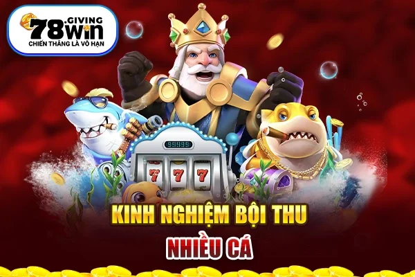 Kinh nghiệm bội thu nhiều cá