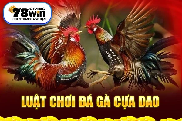 Luật chơi đá gà cựa dao 