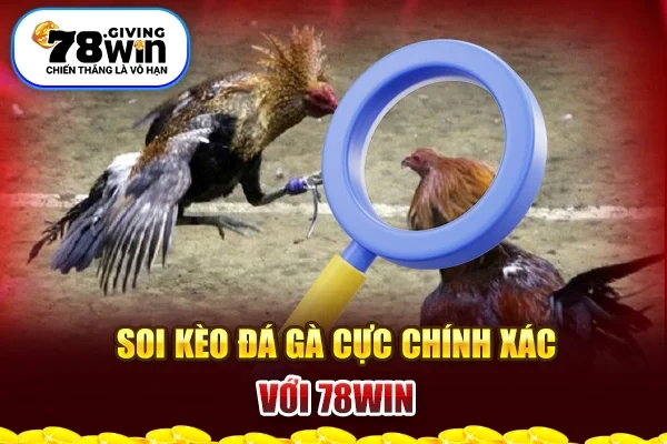 Soi kèo đá gà cực chính xác với 78win