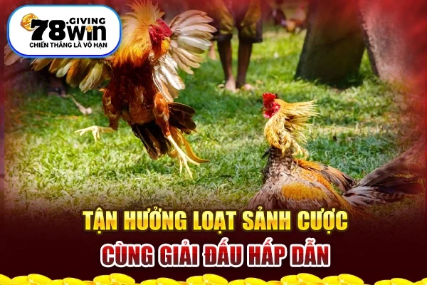 Tận hưởng loạt sảnh cược cùng giải đấu hấp dẫn