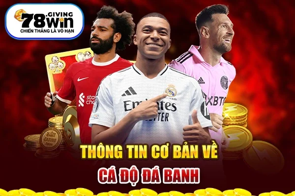 Tổng hợp những thông tin cơ bản về cá độ bóng đá