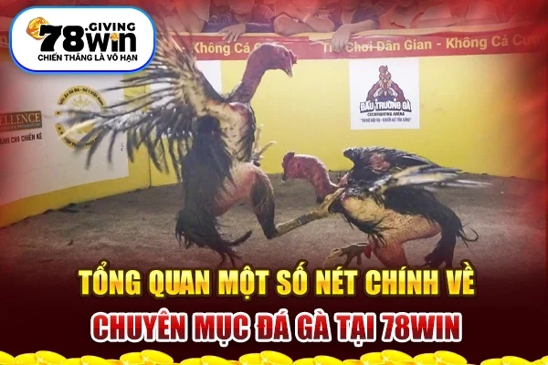 Tổng quan một số nét chính về chuyên mục đá gà tại 78win